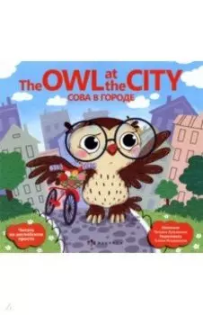 Сова в городе