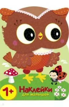 Совы. Кто в лесу самый красивый?