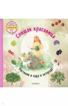 Спящая красавица