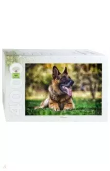 Step Puzzle-4000 "Немецкая овчарка" (85410)