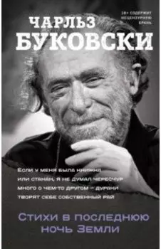 Стихи в последнюю ночь Земли
