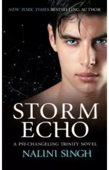 Storm Echo