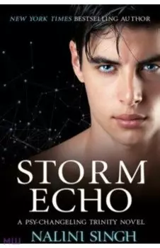 Storm Echo