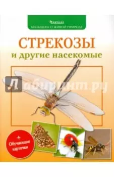 Стрекозы и другие насекомые