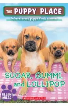 Sugar, Gummi and Lollipop