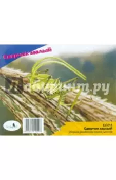 Модель сборная деревянная Сверчок малый