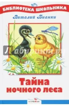 Тайна ночного леса