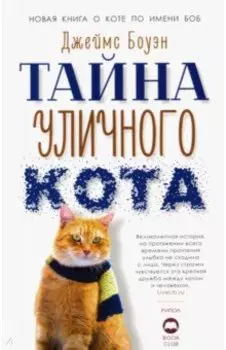 Тайна уличного кота