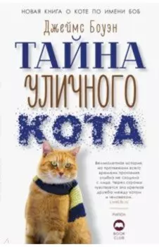 Тайна уличного кота