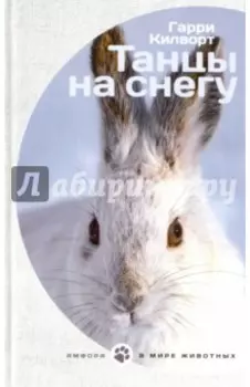 Танцы на снегу