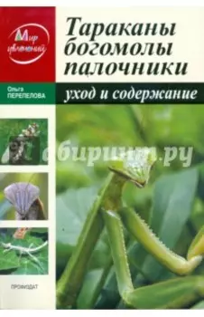 Тараканы, богомолы, палочники. Уход и содержание
