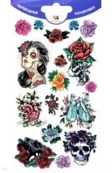 Тату переводные Анатомия