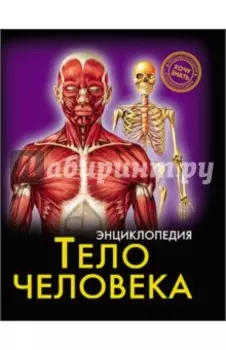 Тело человека