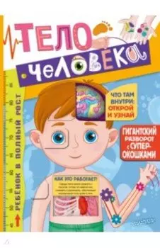 Тело человека