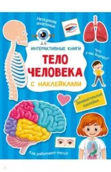 Тело человека