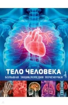 Тело человека