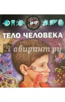 Тело человека