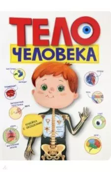 Тело человека