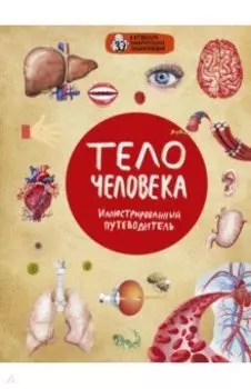 Тело человека
