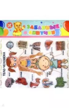 Тело человека. Игра развивающая для детей старше 3-х лет