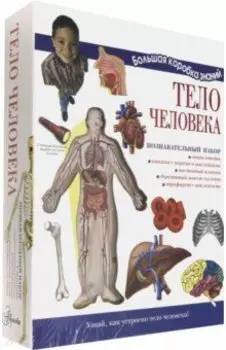 Тело человека. Познавательный набор