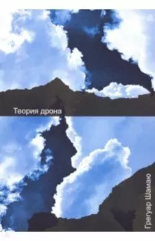 Теория дрона