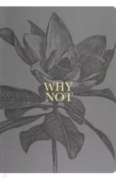 Тетрадь Aesthetics. Черный цветок, 48 листов, клетка, А5