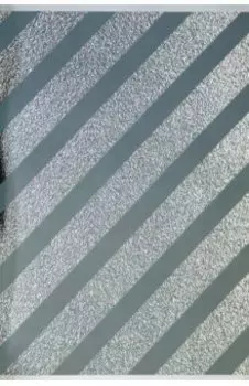 Тетрадь для конспектов, 80 листов, клетка, А4-, Металлик. Серебро (ТГ4804570)