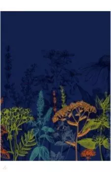 Тетрадь для конспектов Гербарий, 96 листов, А4, клетка