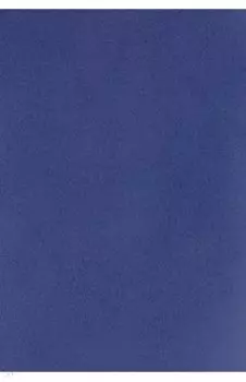 Тетрадь для конспектов Синий, А4, 96 листов, клетка