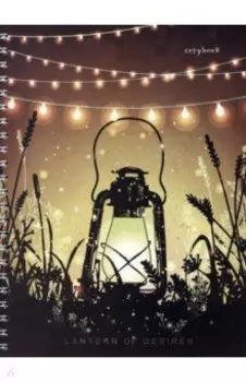 Тетрадь Фонарики, 48 листов, клетка