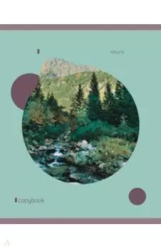 Тетрадь Гармония, 96 листов, линия, А5, в ассортименте