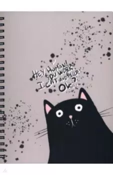 Тетрадь Hey human. Кот, 80 листов, клетка, А5