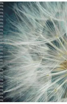 Тетрадь Макросъемка, А5, 80 листов, линия