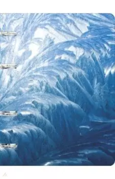 Тетрадь на кольцах Иней, 100 листов, клетка