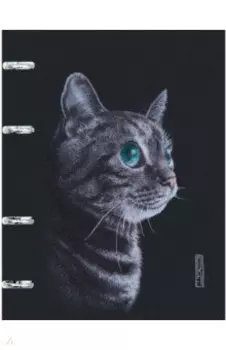 Тетрадь на кольцах Кошка, 120 листов, клетка