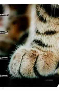 Тетрадь на кольцах Мягкие лапки, А5, 80 листов, клетка