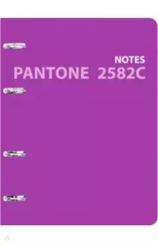 Тетрадь на кольцах "Pantone line. No. 7", 120 листов (ПБЛ1205009)