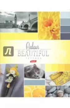 Тетрадь общая "Beautiful Colour" (96 листов, А5, клетка, в ассортименте) (96Т5В1)
