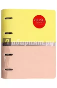 Тетрадь общая "Candy" (120 листов, на кольцах, клетка) (N1078)