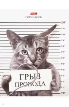 Тетрадь общая "Кот-обормот" (А5, 96 листов, клетка, в ассортименте) (96Т5В1)