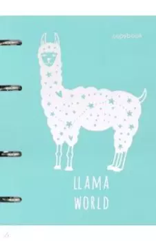 Тетрадь общая на кольцах "ColourMania. Дизайн 4" (100 листов, А5, клетка) (ПБФ1004704)