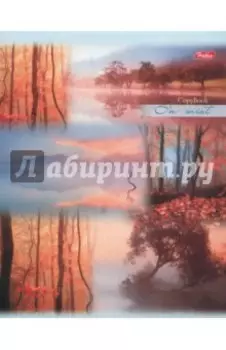 Тетрадь общая "Пробуждение природы" (80 листов, А5, линия, в ассортименте) (80Т5В2)