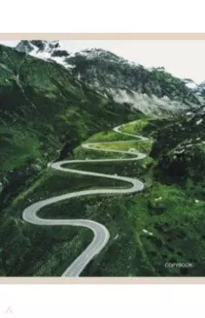 Тетрадь общая "Вид сверху" (96 листов, А5, клетка, в ассортименте) (ТЛ967459)