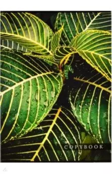 Тетрадь-перевертыш Джунгли, 80 листов, клетка, А4