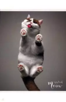 Тетрадь Пушистые лапки, 96 листов, клетка, А5, в ассортименте