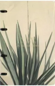 Тетрадь с кольцевым механизмом Nude. Пальма, 120 листов, клетка