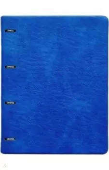 Тетрадь с кольцевым механизмом Turtle, синий, 120 листов, А4, клетка