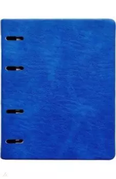 Тетрадь с кольцевым механизмом Turtle, синяя, 120 листов, клетка