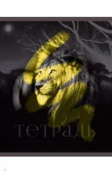 Тетрадь В мире диких зверей, 48 листов, клетка, в ассортименте